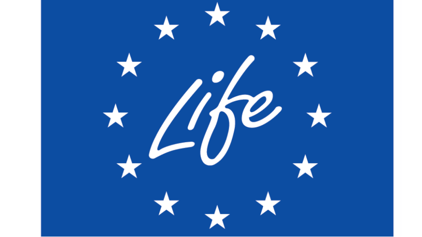 LIFE 2025 – Transizione verso l’energia pulita