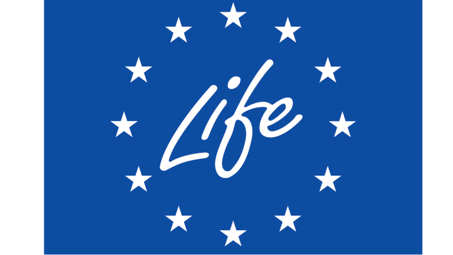LIFE 2025 – Transizione verso l’energia pulita